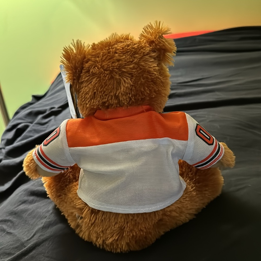 NHL Teddy Bear - Picture 2 of 5
